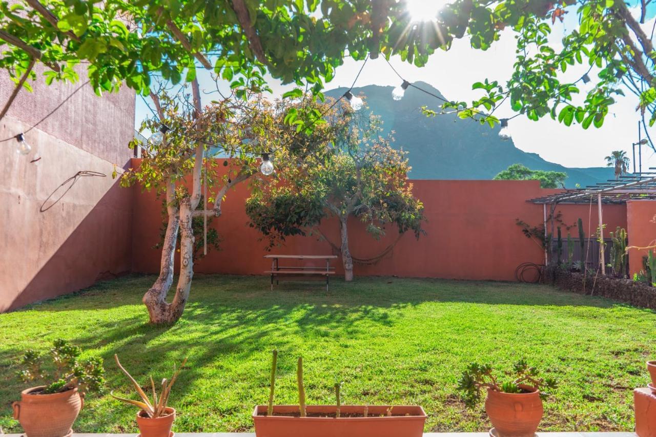 مبيت وإفطار أرونا Cactus Coliving & Coworking المظهر الخارجي الصورة